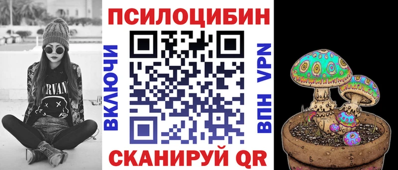 Псилоцибиновые грибы мицелий  сайты даркнета формула  Бабушкин  где купить наркоту 